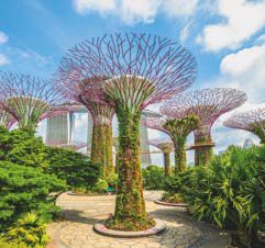 景觀花園