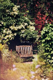 Garden Views