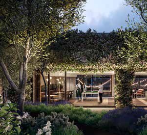 Landscaped Garden