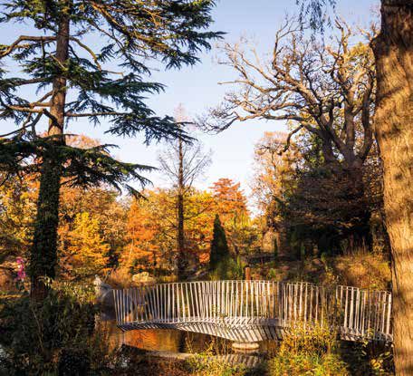 Landscaped Garden