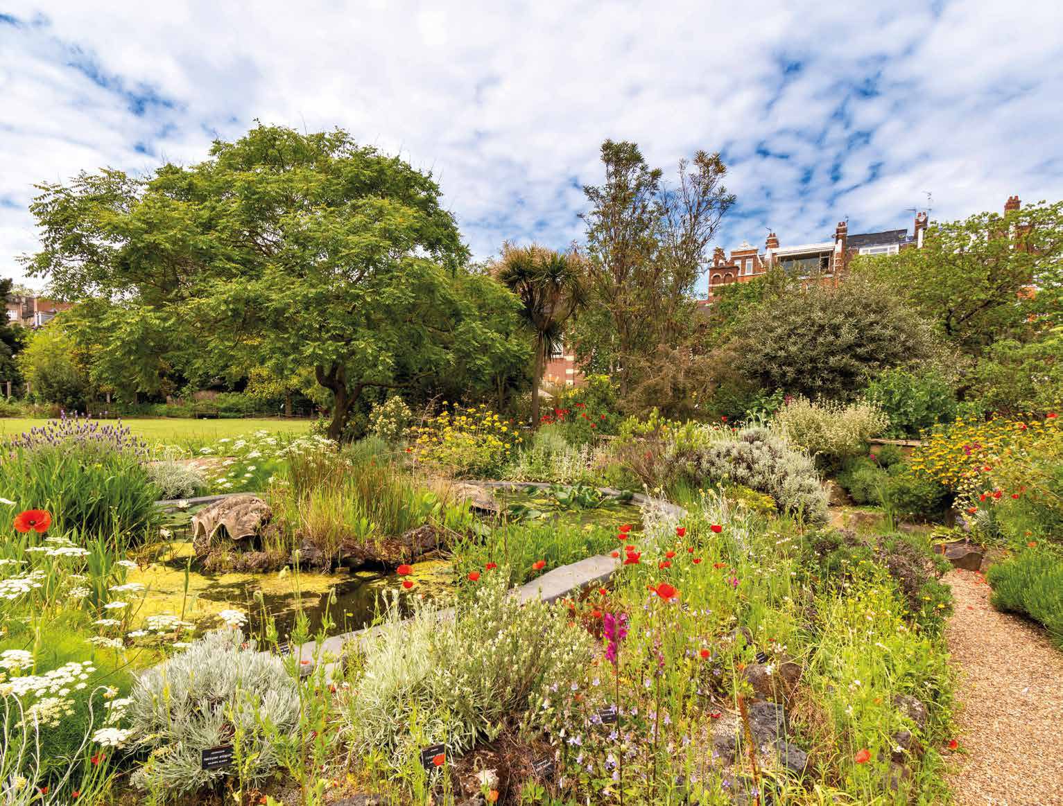 Garden Views