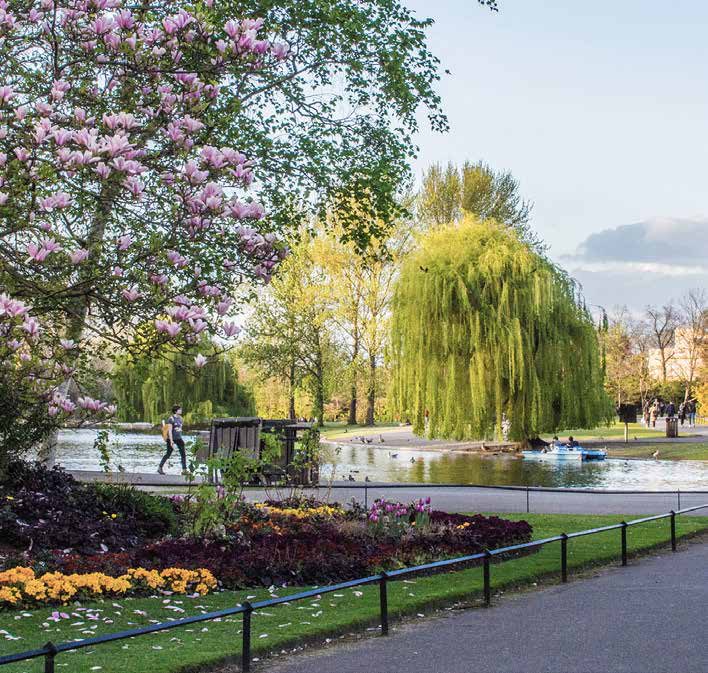 Park View