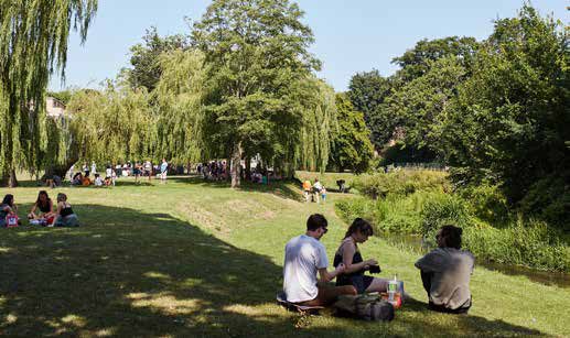 Park Greenery