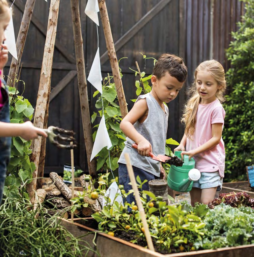 Children's Garden