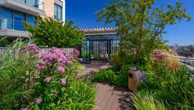 Rooftop Garden