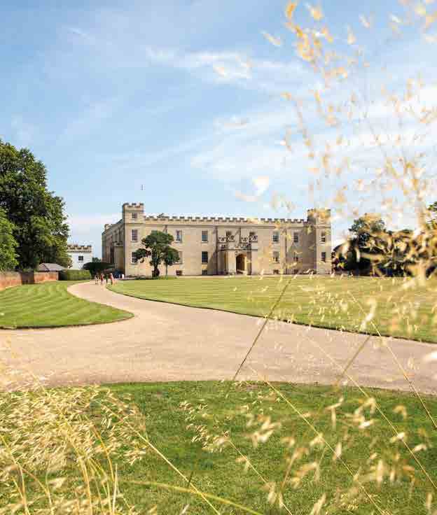 Lampton Parkside — Forest View