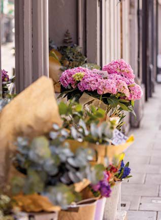 花園景觀
