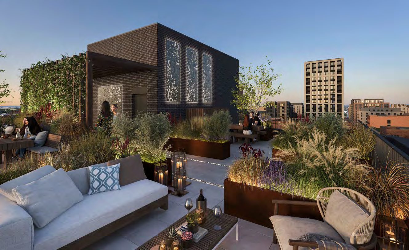 Rooftop Garden View