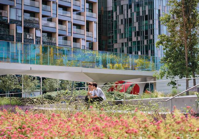 Landscaped Garden