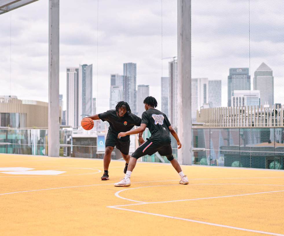 Courts View