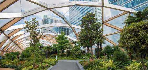Landscaped Garden