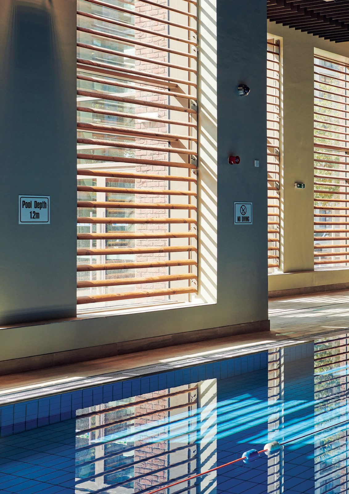 Pool Area Views