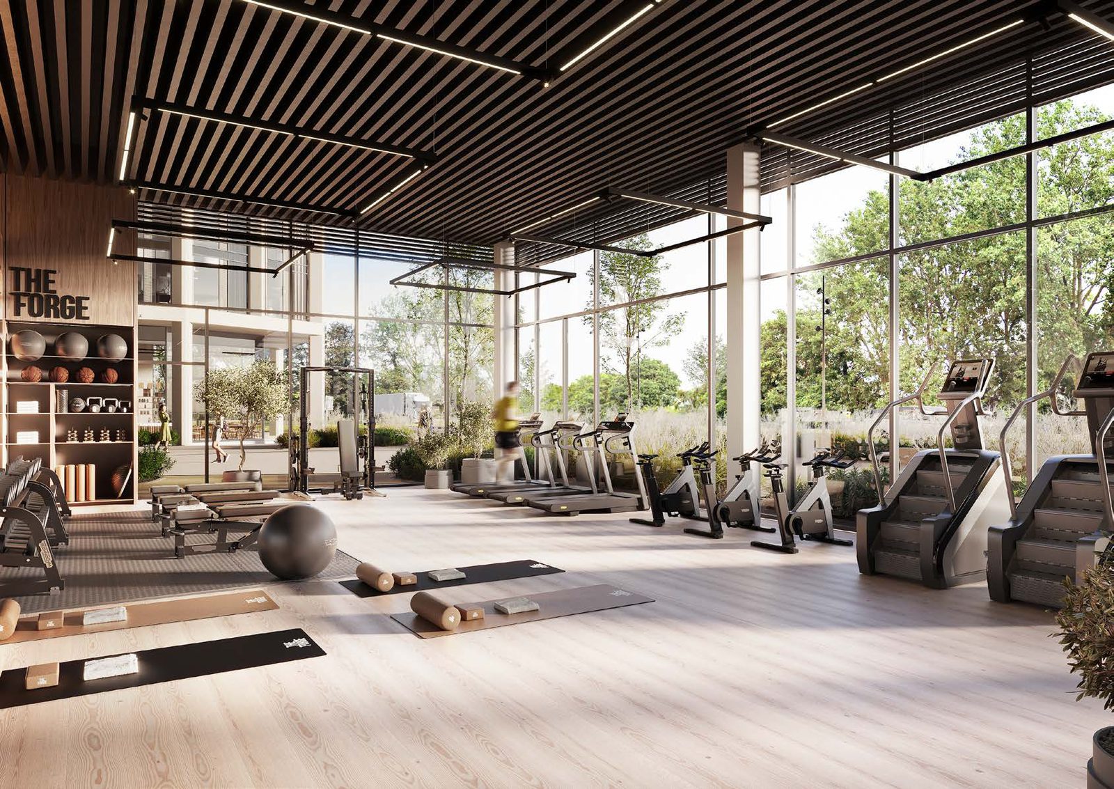 Gymnasium