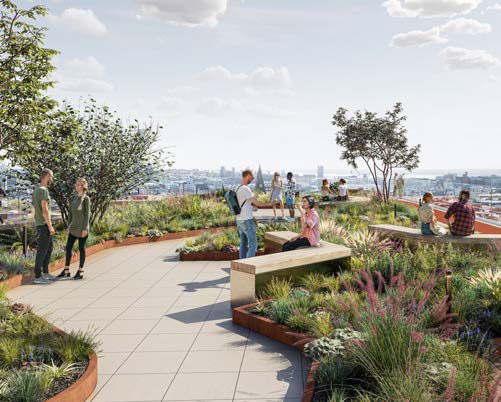 Landscaped Garden