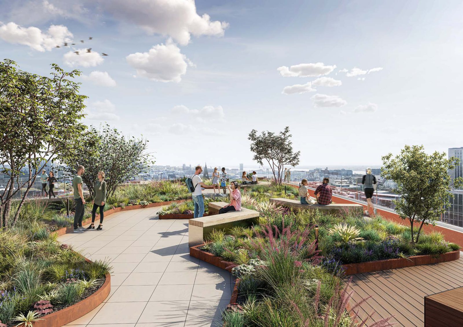 Rooftop Garden View