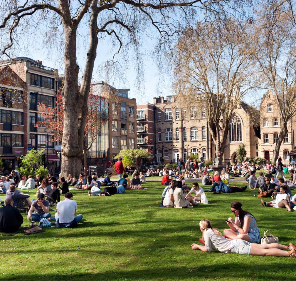 Park Greenery