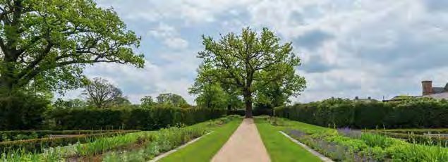 Garden Views